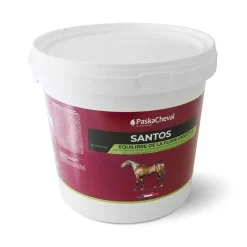 PASKACHEVAL Santos poudre> Digestion