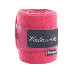 UMBRIA Set de 4 bandes de polo><noscript><img data-lazyloaded=