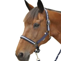 CANTER Set licol + longe lurex><noscript><img data-lazyloaded=
