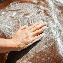 RAVENE Shampoing Emouchine Protec><noscript><img width=