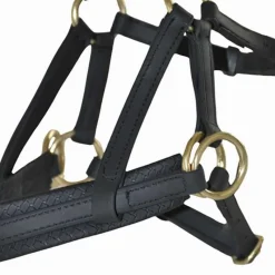 BIOTACK® Sidepull Biotack T de T><noscript><img data-lazyloaded=