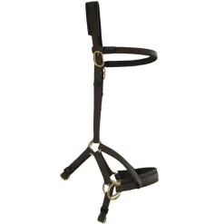 BIOTACK® Sidepull Biotack T de T><noscript><img data-lazyloaded=