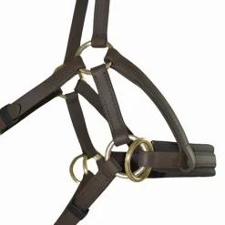 BIOTACK® Sidepull Biotack T de T><noscript><img data-lazyloaded=