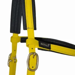 BIOTACK® Sidepull Biotack T de T><noscript><img data-lazyloaded=