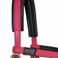 BIOTACK® Sidepull Biotack T de T><noscript><img data-lazyloaded=