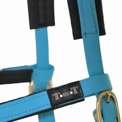 BIOTACK® Sidepull Biotack T de T><noscript><img data-lazyloaded=