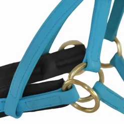 BIOTACK® Sidepull Biotack T de T><noscript><img data-lazyloaded=