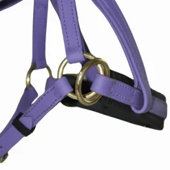 BIOTACK® Sidepull Biotack T de T><noscript><img data-lazyloaded=