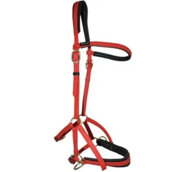 BIOTACK® Sidepull Biotack T de T><noscript><img data-lazyloaded=