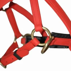 BIOTACK® Sidepull Biotack T de T><noscript><img data-lazyloaded=