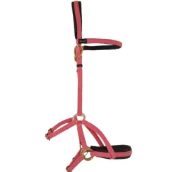 BIOTACK® Sidepull Biotack T de T><noscript><img data-lazyloaded=