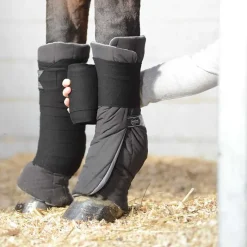 VEREDUS Sous Bandes Anatomic Antérieur> Sous-Bandes