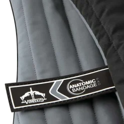 VEREDUS Sous Bandes Anatomic Antérieur><noscript><img data-lazyloaded=