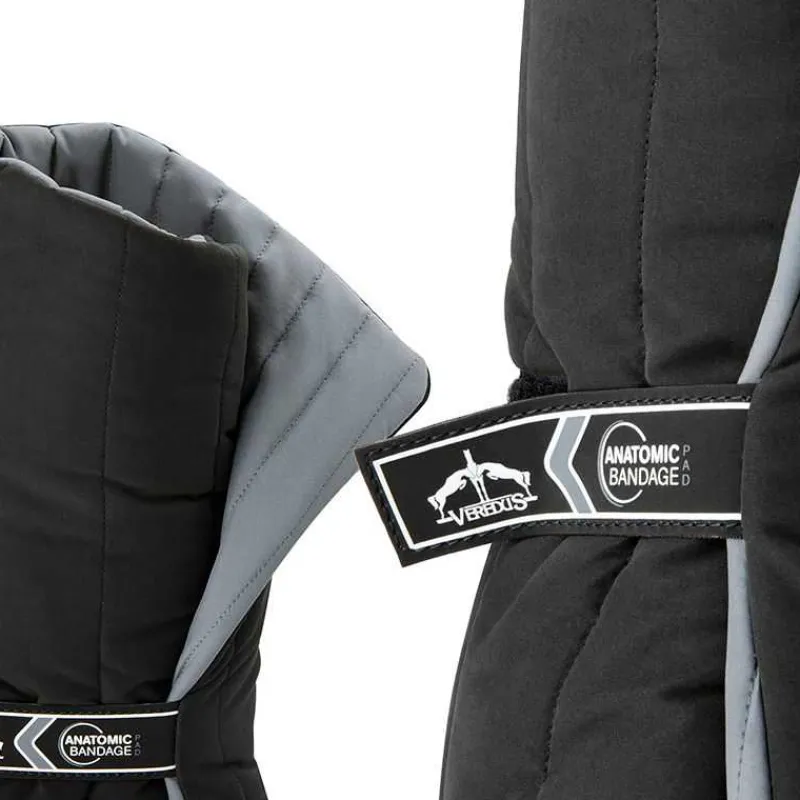 VEREDUS Sous Bandes Anatomic Postérieur> Sous-Bandes