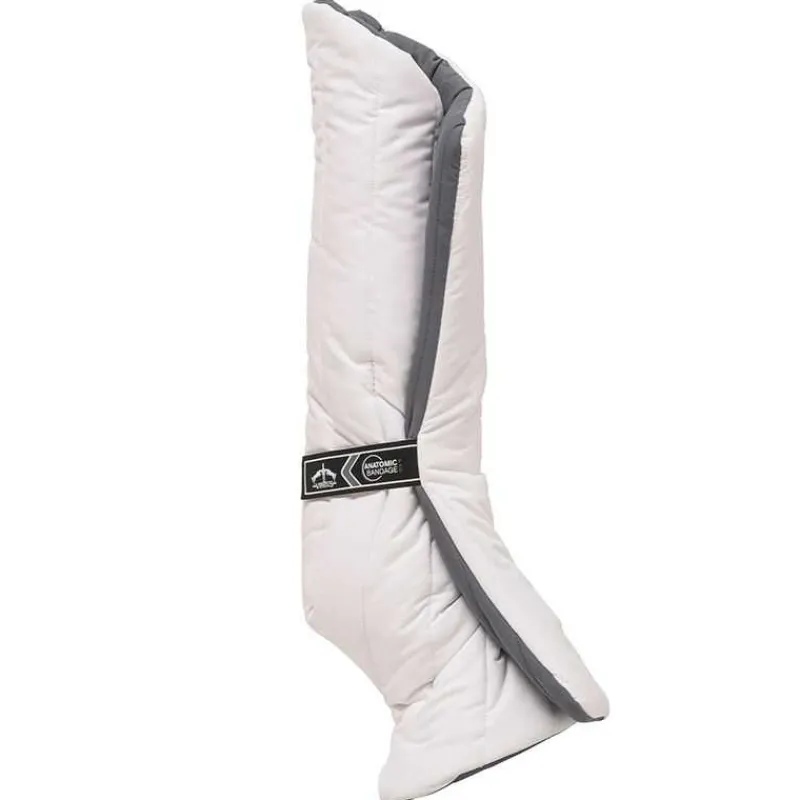 VEREDUS Sous Bandes Anatomic Postérieur> Sous-Bandes