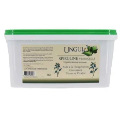 UNGULA Spiruline vermicelle 1Kg Naturalis - Complément alimentaire> Etat Général
