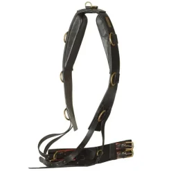 CANTER Surfaix de travail en cuir> Travail À La Longe - Enrênements - Surfaix|Travail À La Longe - Enrênements - Surfaix