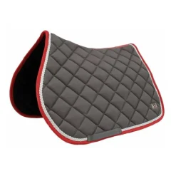 T de T Tapis CSO Fontainebleau><noscript><img data-lazyloaded=