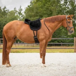 QHP Tapis de monte à cru super soft><noscript><img data-lazyloaded=