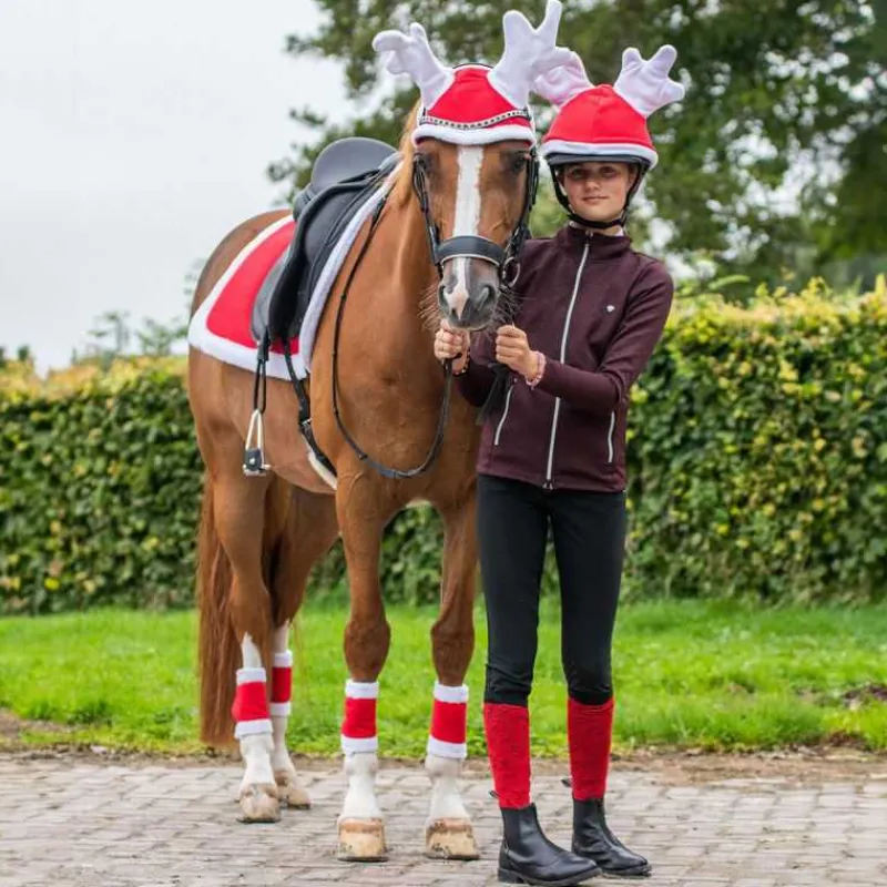 QHP Tapis de Noel> Tapis Poney Et Shetland|Tapis Mixte Et Cso
