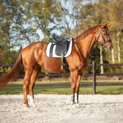 QHP Tapis de Selle Kae> Tapis Mixte Et Cso|Tapis De Dressage
