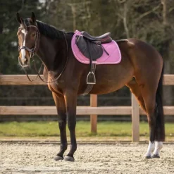 QHP Tapis de selle Lyvia><noscript><img data-lazyloaded=