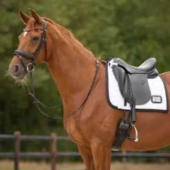 QHP Tapis de selle Numéro><noscript><img data-lazyloaded=