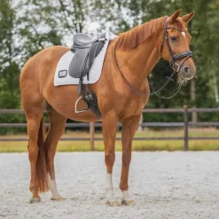 QHP Tapis de selle Numéro><noscript><img data-lazyloaded=