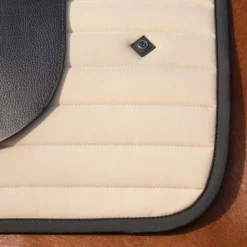 QHP Tapis de selle Salerno><noscript><img data-lazyloaded=