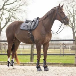 QHP Tapis de selle Sensisoft> Tapis Poney Et Shetland|Tapis Mixte Et Cso