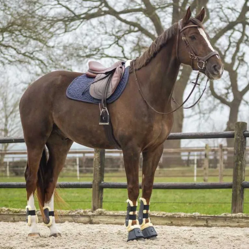 QHP Tapis de selle Sensisoft> Tapis Poney Et Shetland|Tapis Mixte Et Cso