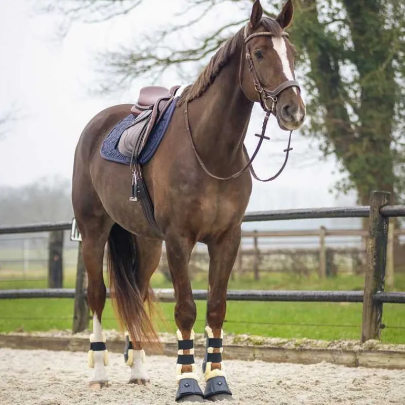 QHP Tapis de selle Sensisoft> Tapis Poney Et Shetland|Tapis Mixte Et Cso