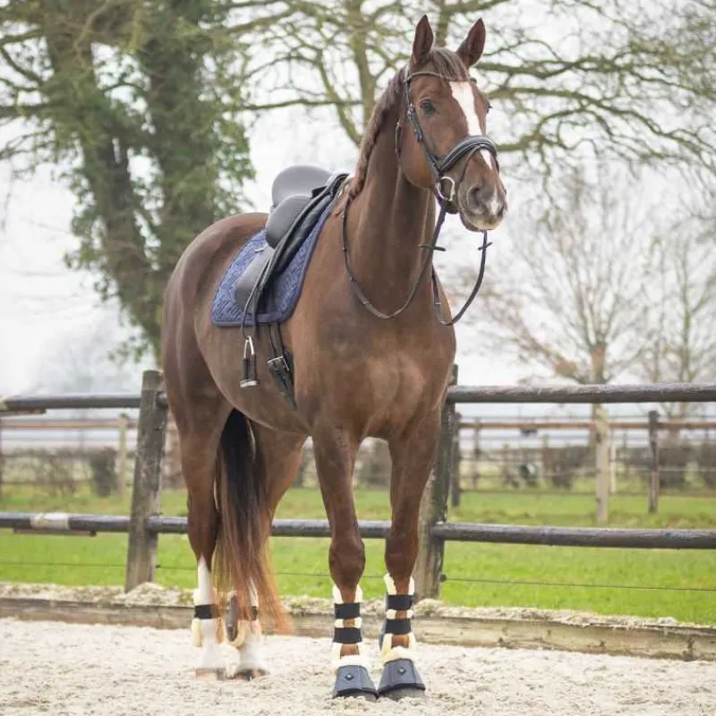 QHP Tapis de selle Sensisoft> Tapis Poney Et Shetland|Tapis Mixte Et Cso