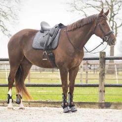 QHP Tapis de selle Sensisoft><noscript><img data-lazyloaded=