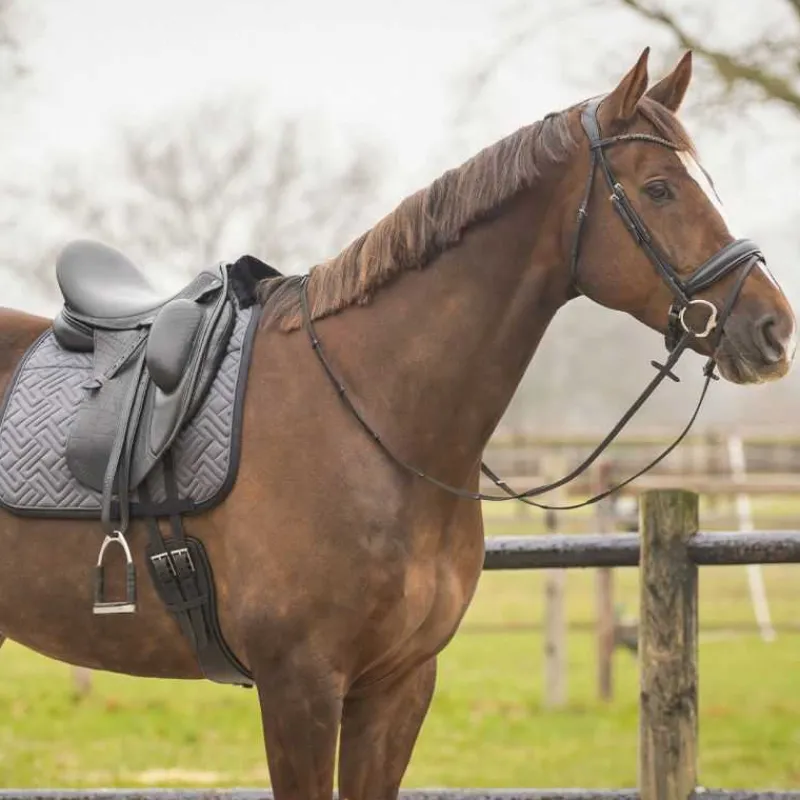 QHP Tapis de selle Sensisoft> Tapis Poney Et Shetland|Tapis Mixte Et Cso