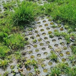 KRAIBURG BELMONDO Tapis de sol Belmondo Flix sols naturels><noscript><img width=