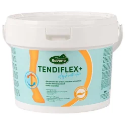 RAVENE Tendiflex+ 4kg> Argile