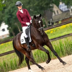 QHP Veste de concours femme Noven> Veste De Concours D'Équitation