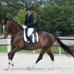 QHP Veste de concours femme Noven> Veste De Concours D'Équitation